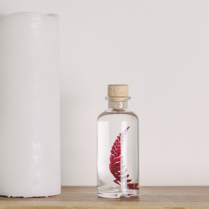 Preserved Plant - Red Rumohra Fern