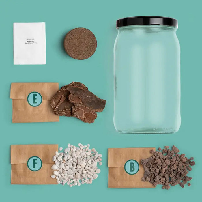 Terrarium Kit - create your own ecosystem