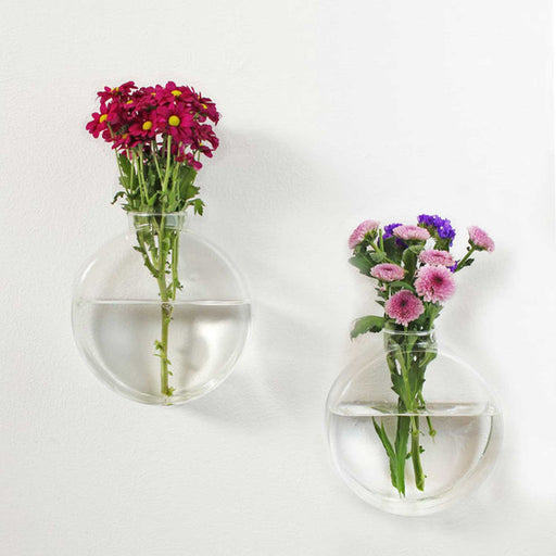 two glass round wall vases holding water and flowers
