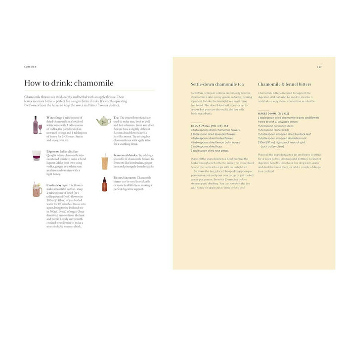 A Forager's Guide to Wild Drinks