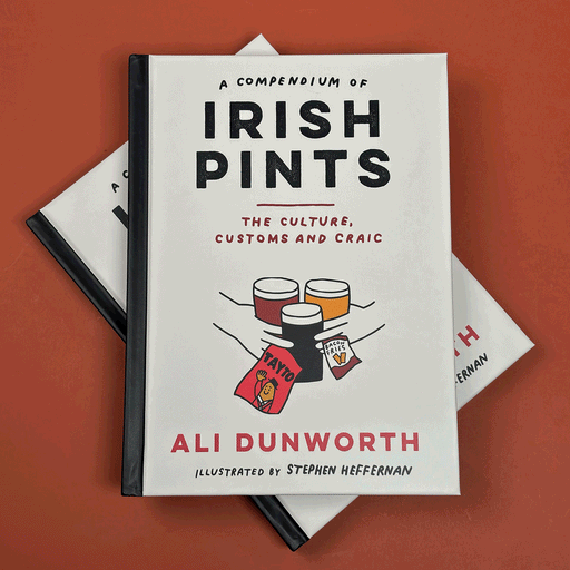 two copies of the book titled 'A Compendium of Irish Pints' on top of eachother in front of a burnt orange background