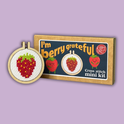 Cross stitch mini kit with strawberry design on a purple background