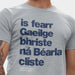 Gaeilge Bhriste Grey T-Shirt With Navy Print