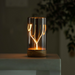 Glass lamp with wooden base on a dark background