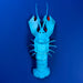 Blue lobster-shaped object on a blue background