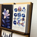 An open art book or journal displayed on a shelf, showing illustrated covers: one with a dark blue lily on black, and one with multiple illustrated rings in blue, purple, and gold on a cream background. The book is photographed against a light textured wall.
