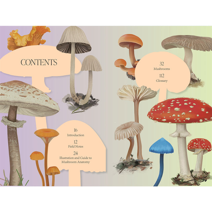 Mushroom Magic - An illustrated introduction to fascinating fungi