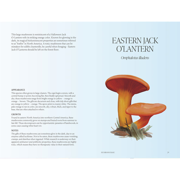 Mushroom Magic - An illustrated introduction to fascinating fungi