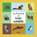 Front cover of the children's book 'my first book of Irish wildlife' by O'Brien, featuring a 3x3 grid of colorful animal illustrations including a hedgehog, squirrel, fox, badger, deer, owl, dolphin, and puffin around a central white title panel on a yellow background.