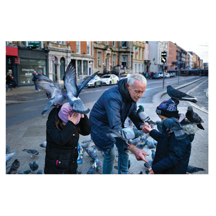 People feeding pigeons on a city street with buildings and traffic in the background