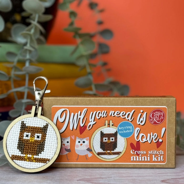 Cross stitch mini kit with owl design and keychain, displayed in front of its packaging.