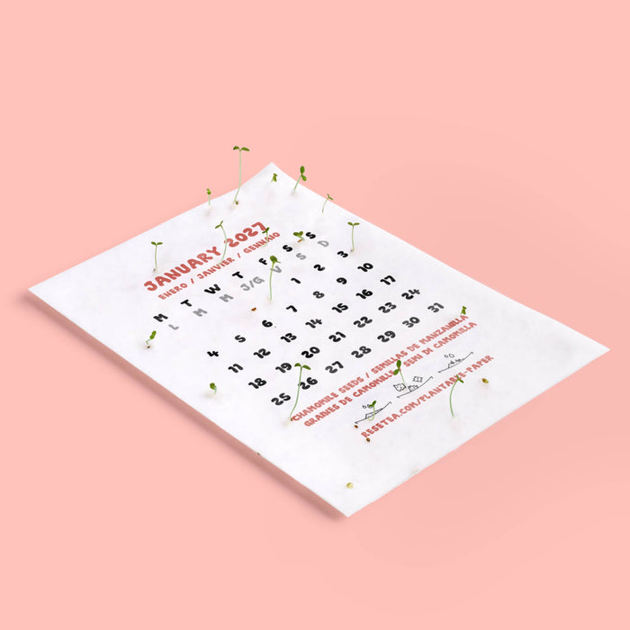 A January 2027 paper calendar page with red and black text, photographed on a soft peach-pink background with small green sprouts growing out of it.