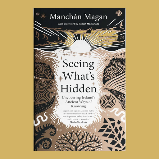 Book cover of 'Seeing What's Hidden' by Manchán Magan, featuring a black and beige Celtic-inspired design with a central white sunburst and gold-toned abstract foliage, shown against a solid mustard-yellow background.