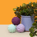 Colorful brain-shaped stress balls in front of a potted plant on an orange background