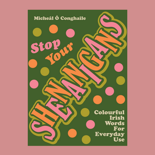 Green book cover with title "Stop Your Shennigans" in pink and orange text against a pink background.