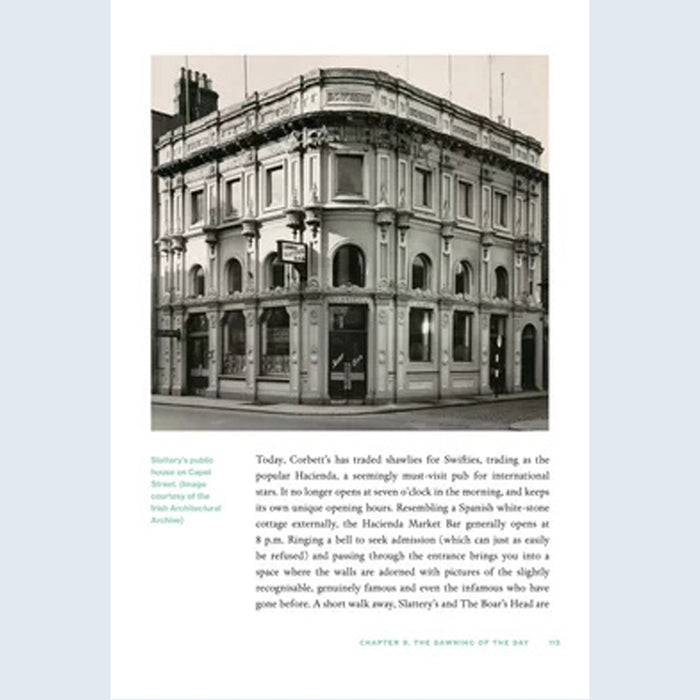 The Dublin Pub - a social and cultural history