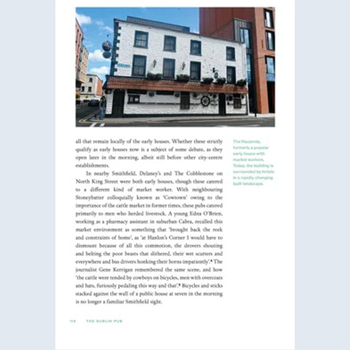 The Dublin Pub - a social and cultural history