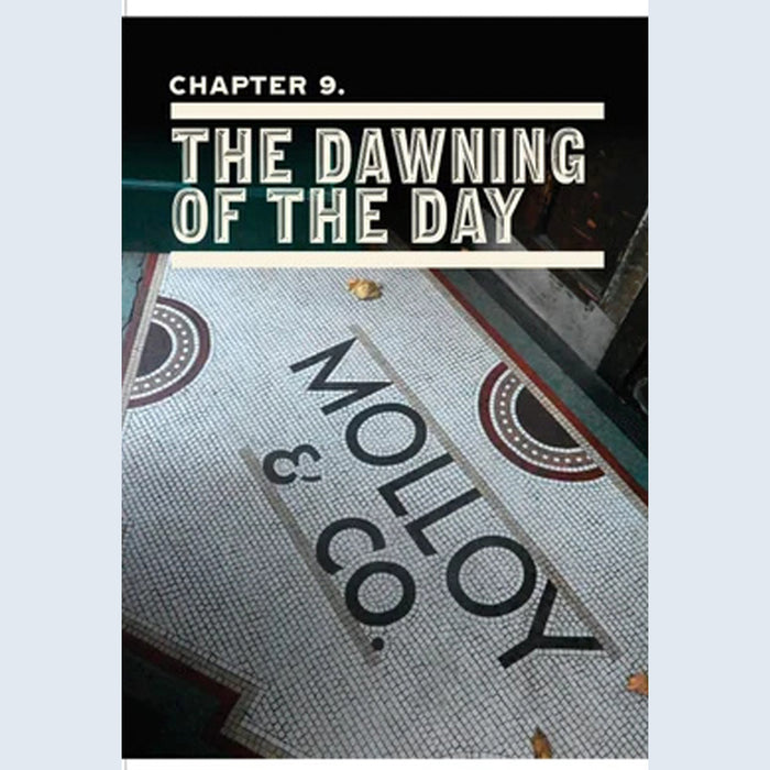 The Dublin Pub - a social and cultural history