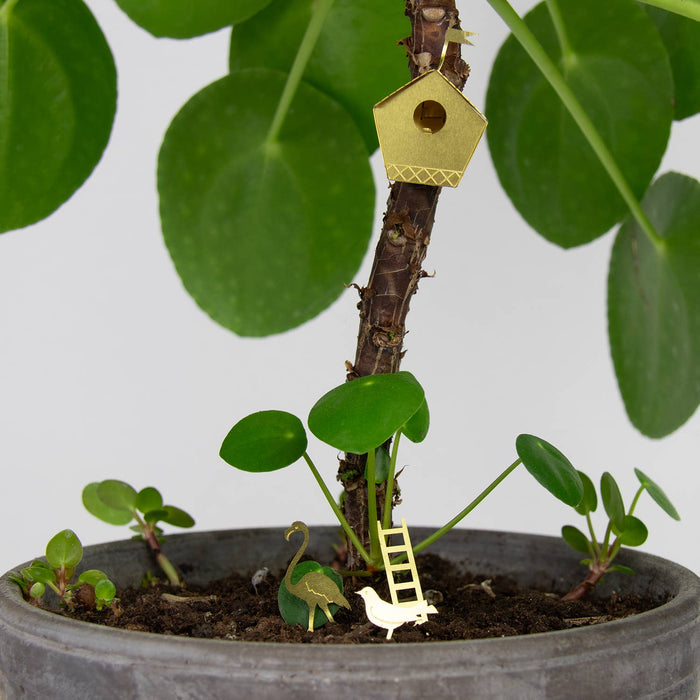 Potted plant with a miniature birdhouse and birds on a white background