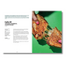 An open magazine or book spread showing a recipe article about Italia 90 amburne parigiana, smoked Drumis. The left page has black text on a white background, and the right page features a bright green background with a close-up photo of a hand holding a piece of grilled fish with melted mozzarella.