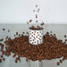 Coffee beans falling onto a can perched on a pile of coffee beans.