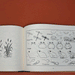 open spread of book titled 'what to draw and how to draw it' on top of a burnt orange background