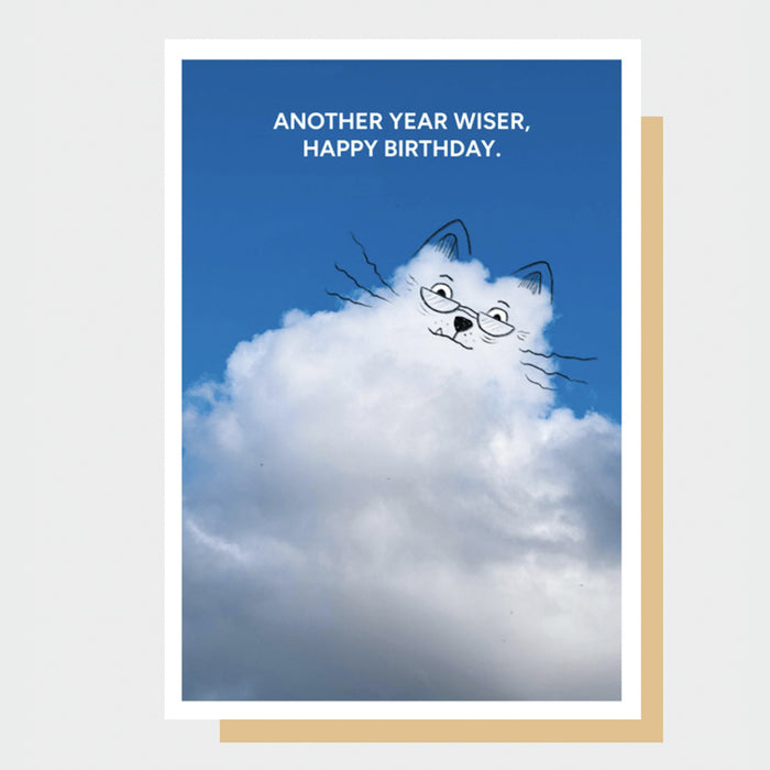 Another Year Wiser Birthday - A Daily Cloud