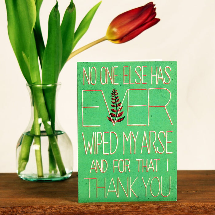 No One Else Has Ever Wiped My Arse...