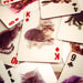 3D Cats Playing Cards