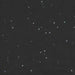 Black Iridescent Tissue Paper