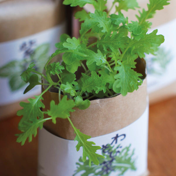 Cultivate & Eat - Japanese Flavours