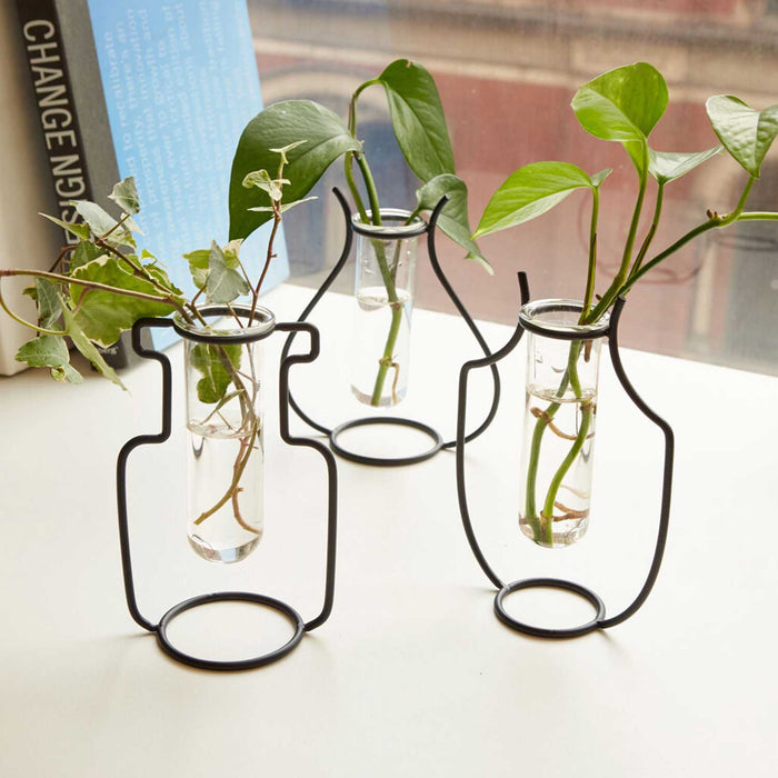 three testtube and black metal wire vases on window sill with green stems in them