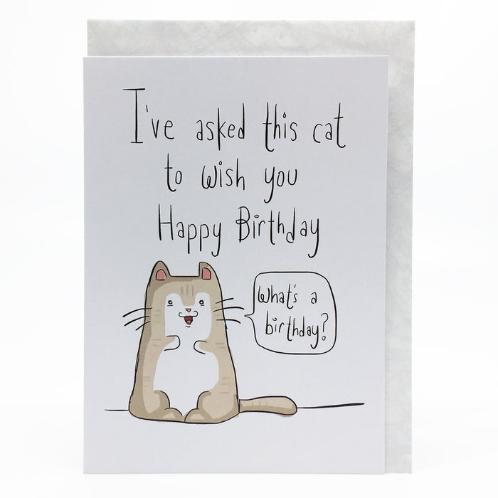 I've asked this cat to wish you a happy birthday