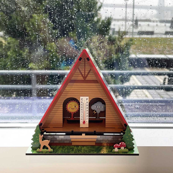 Make Your Own Weather House