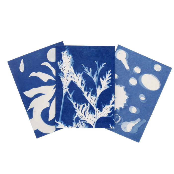 Sunography Paper