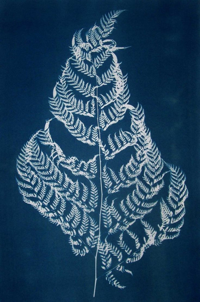 Sunography Paper
