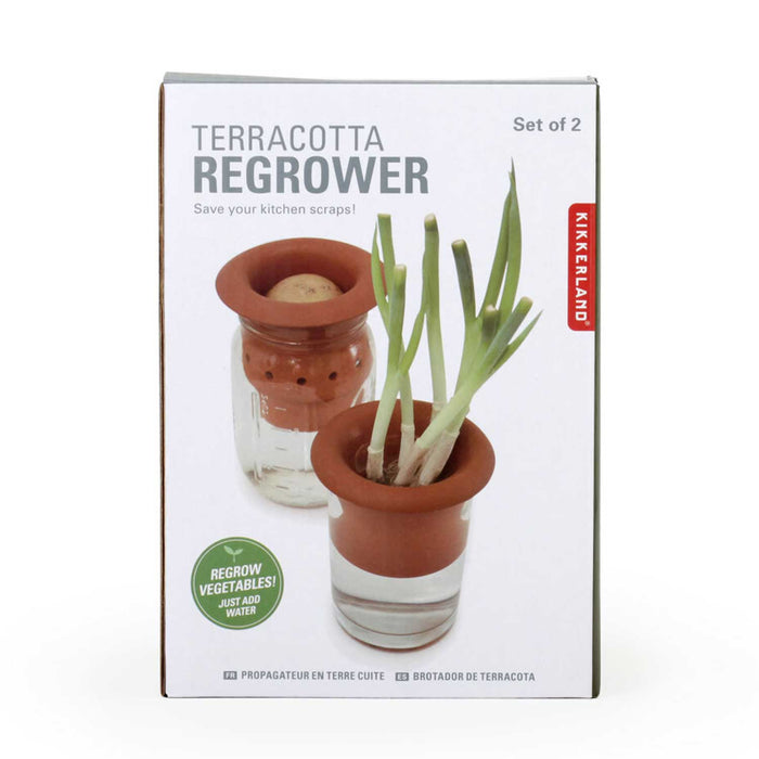 Terracotta Regrower