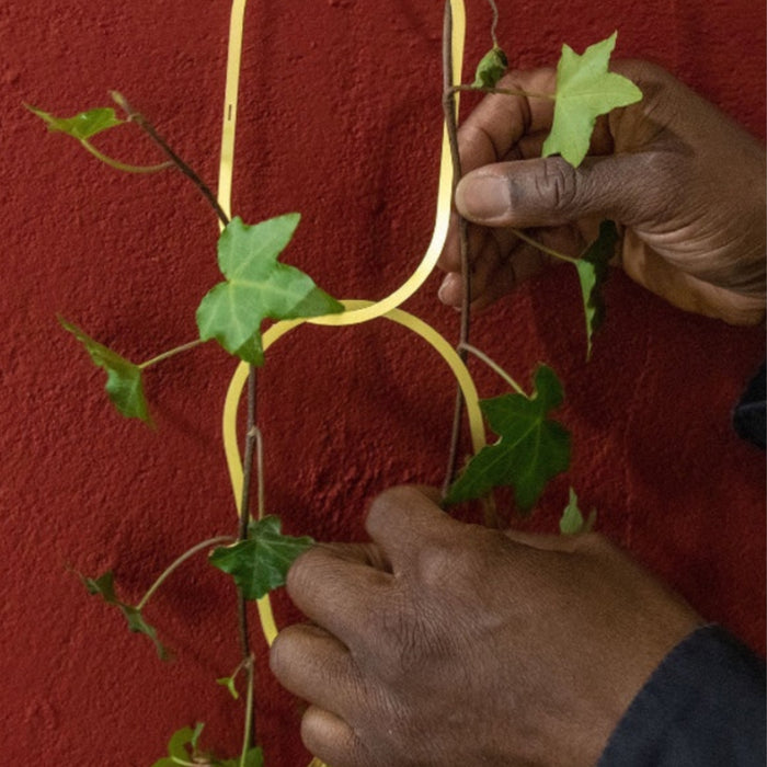 close up of hands placing a plant around the brass supports in front of a red wall
