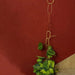 plant growing up the brass chain in front of a red wall