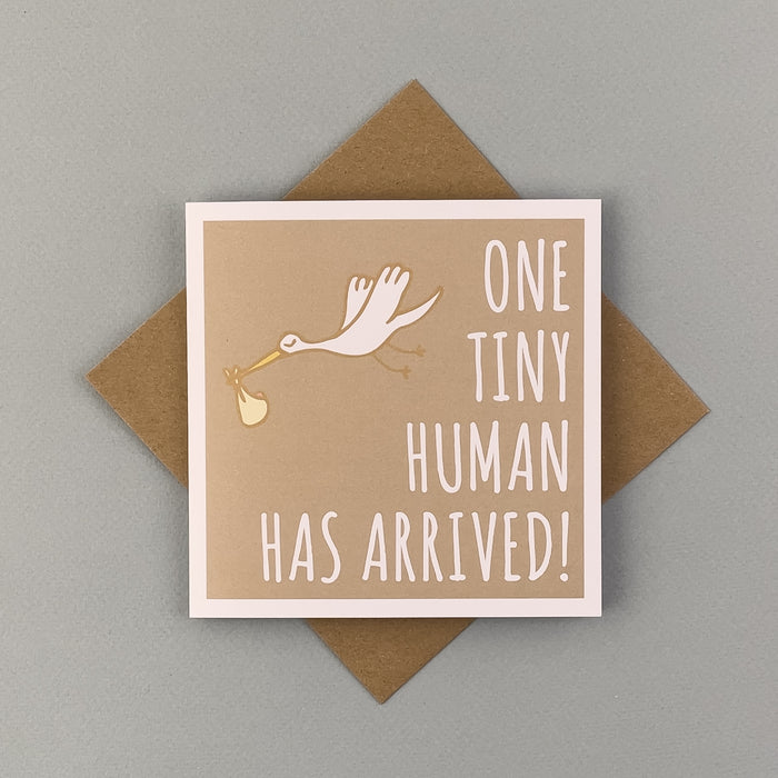 One Tiny Human Has Arrived