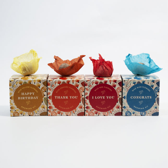 Say It With Flowers - Congrats