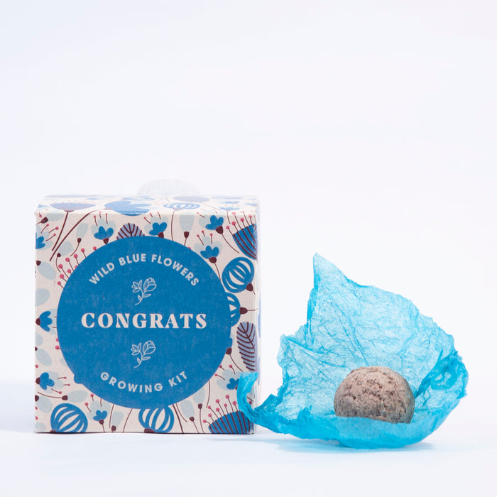 Say It With Flowers - Congrats