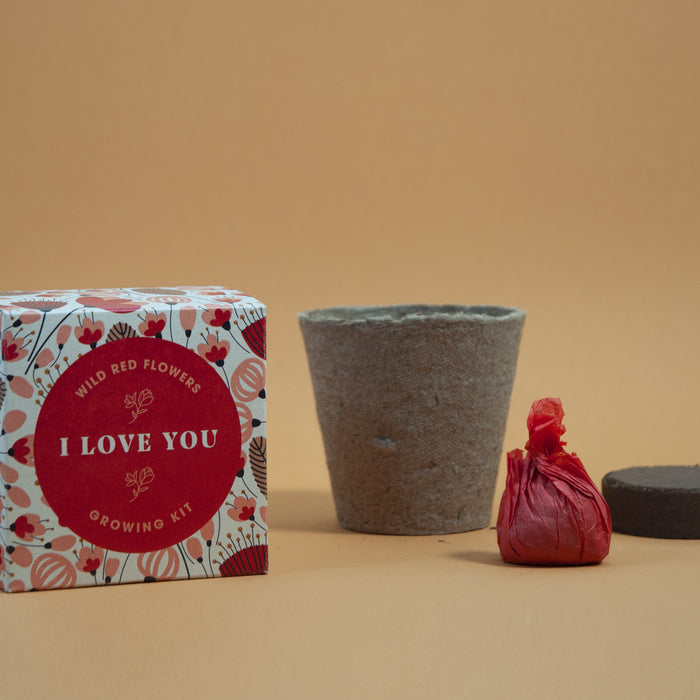 Say It With Flowers - I Love You