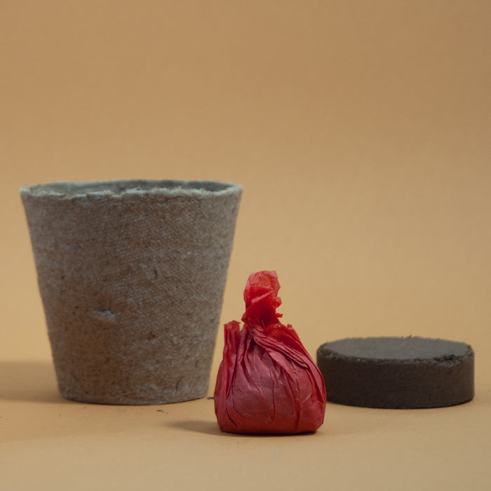 Say It With Flowers - I Love You