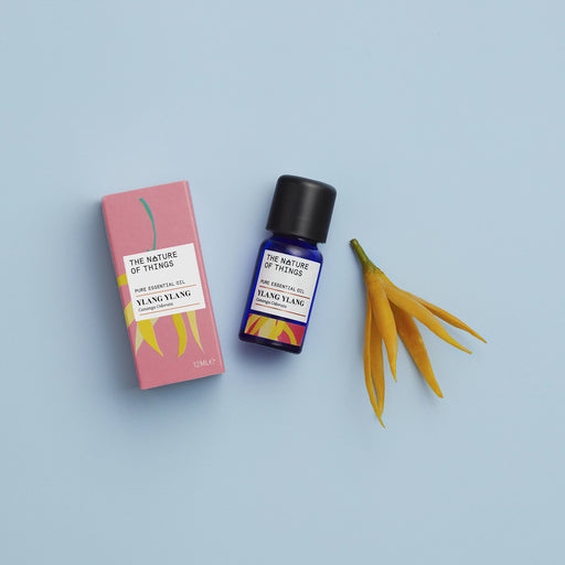 Ylang Ylang essential oil blue bottle beside a pink product box with an illustration of green and yellow plant on front with orange flower in against a blue background