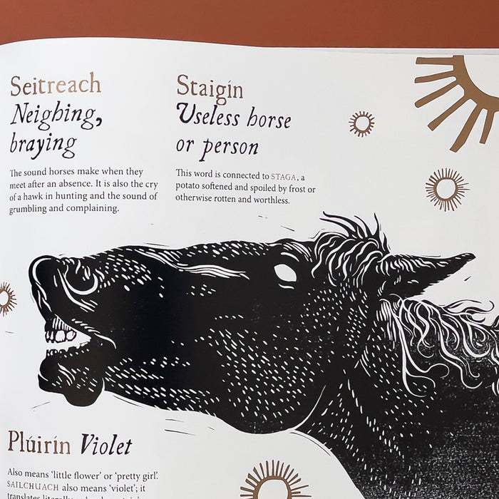 Tree Dogs, Banshee Fingers & Other Irish Words for Nature