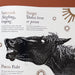 Tree Dogs, Banshee Fingers & Other Irish Words for Nature