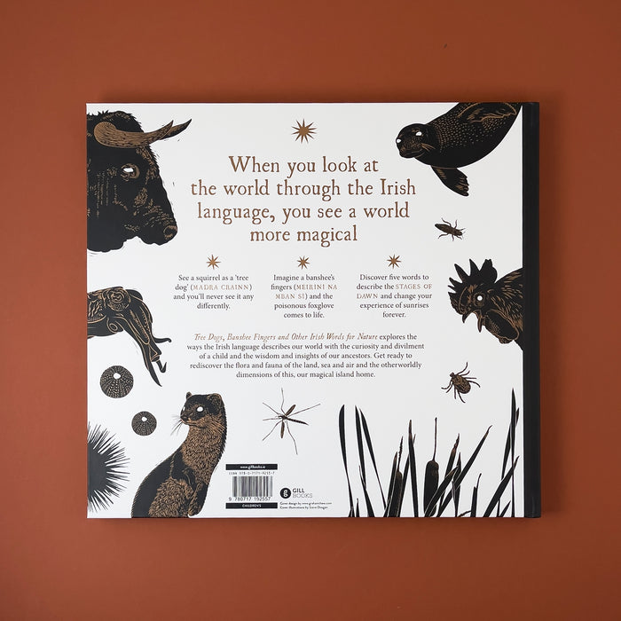 Tree Dogs, Banshee Fingers & Other Irish Words for Nature